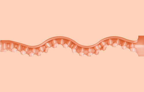 Fleshlight Girls - Maitland Ward Meets World Tight Chicks