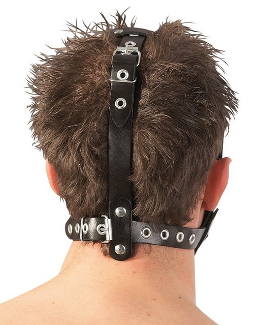 Face harness with gag and dildo