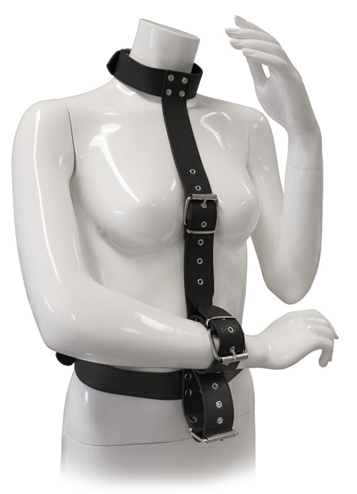 Blaze Restraint Body Harness with Collar