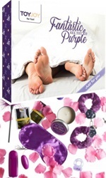 Fantastic Sex Toy Kit