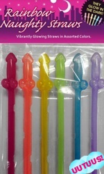 Rainbow Naughty Straws, 6 kpl