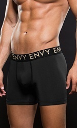Envy Micro Lowrise Logo Elastic Boxer